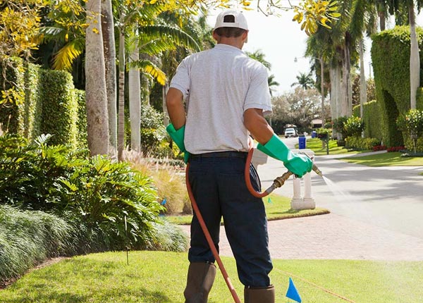 About Oxford OH Pest Control Pros